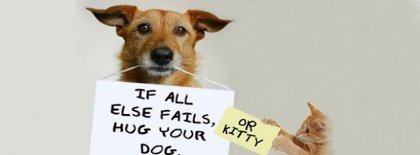 Dog And Kitty Facebook Covers
